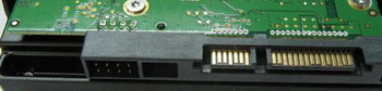 wd WD8088AADS
